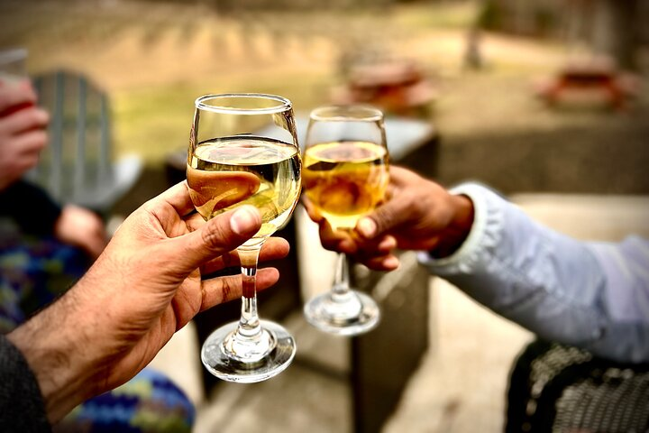 Elijay Hike w/ Waterfall & Wine Tasting Private Tour from ATL - Photo 1 of 14